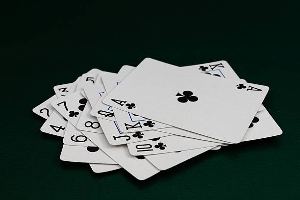 What New Players Should Know About the Meilleur Casino En Ligne